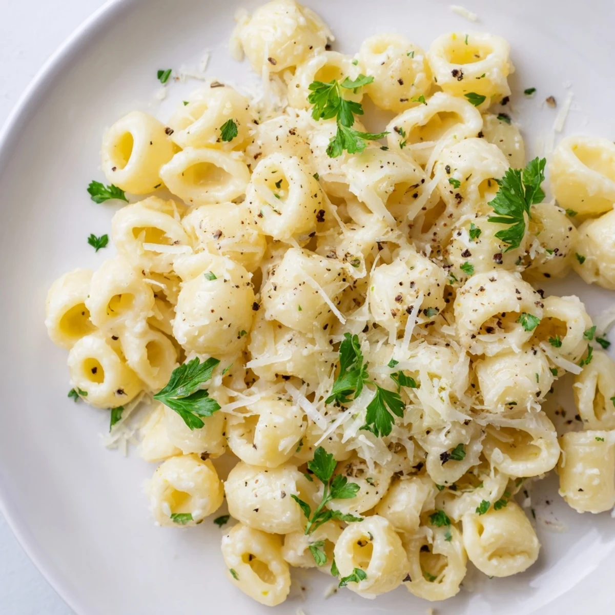 Golden ditalini pasta coated in a creamy garlic butter sauce, ready to serve with Parmesan.